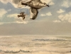 Sea Drift