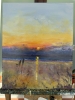 Seaside stroll with the dog, evening sunset