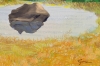 Seasonal Change