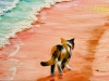 The Long Stroll
