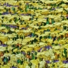 Summer Golden Fields