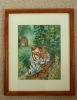 Tiger spotted