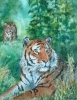 Tiger spotted