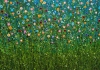 Turquoise Chaos #4