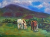 Wild Welsh Horses