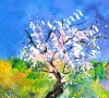 Awakening of spring 