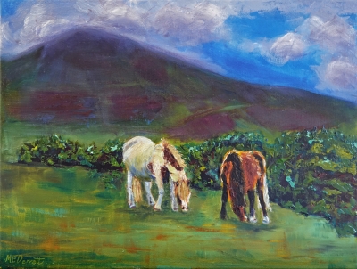 Wild Welsh Horses