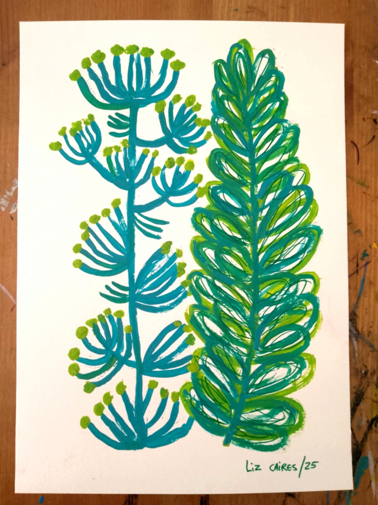 Mediterranean Plants
