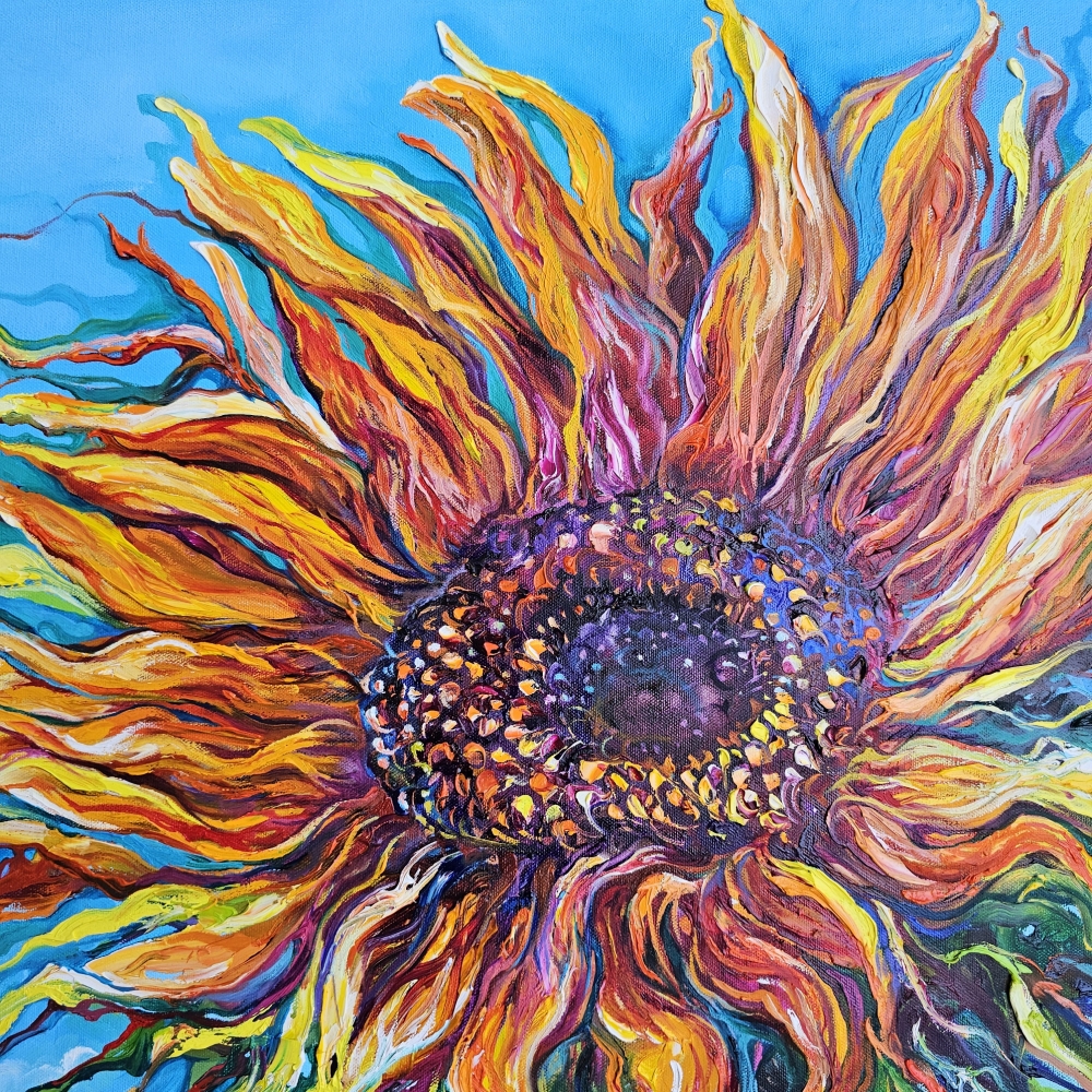 THE SUN IN THE FIELD