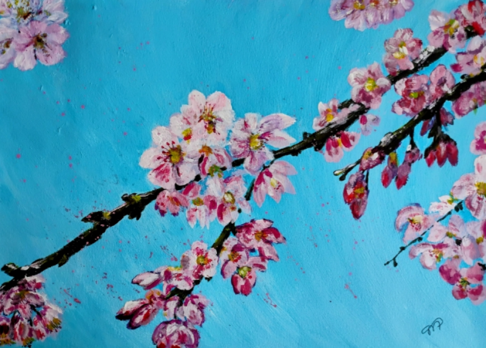 Cherry Blossom