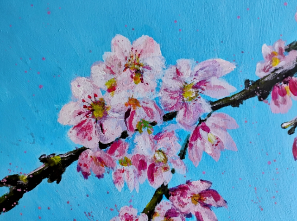 Cherry Blossom