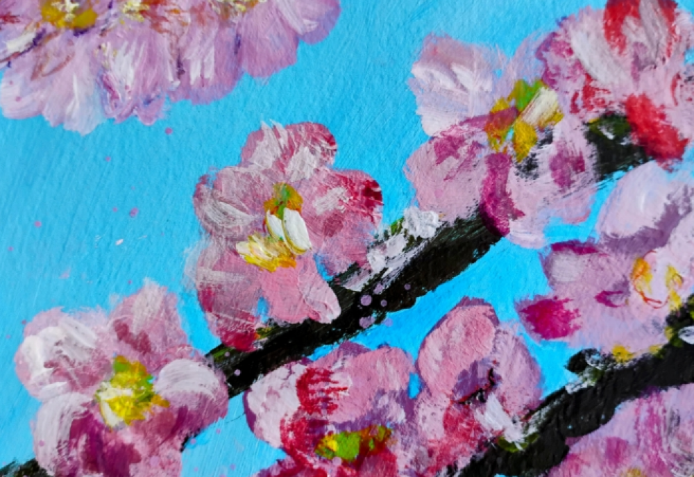 Cherry Blossom
