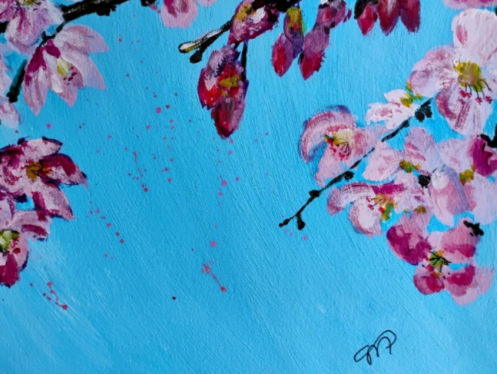 Cherry Blossom