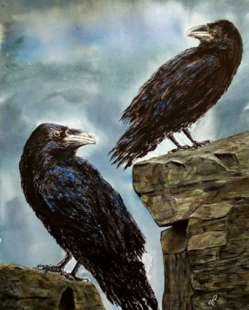 Eyes of Odin; Huginn and Munnin. Odin's Ravens