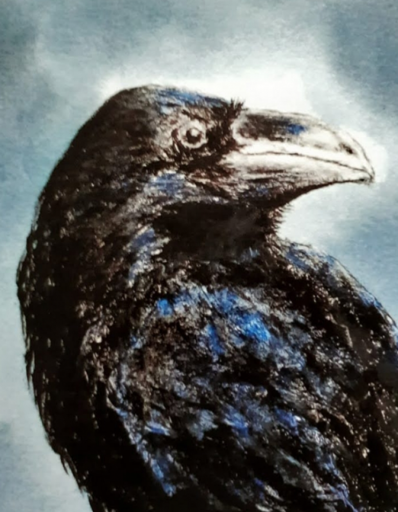 Eyes of Odin; Huginn and Munnin. Odin's Ravens