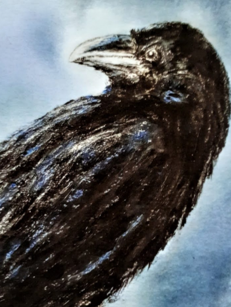 Eyes of Odin; Huginn and Munnin. Odin's Ravens