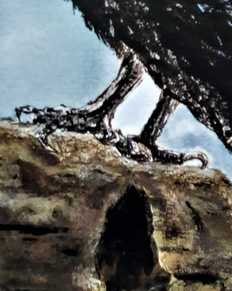 Eyes of Odin; Huginn and Munnin. Odin's Ravens