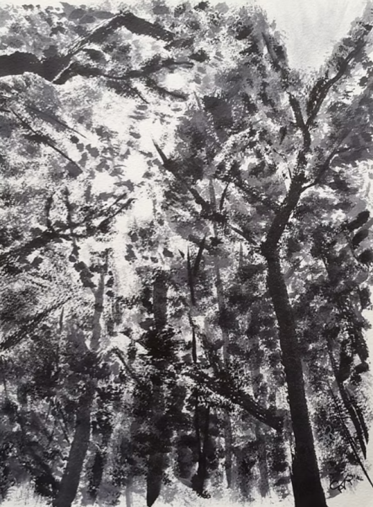Gentle Forest