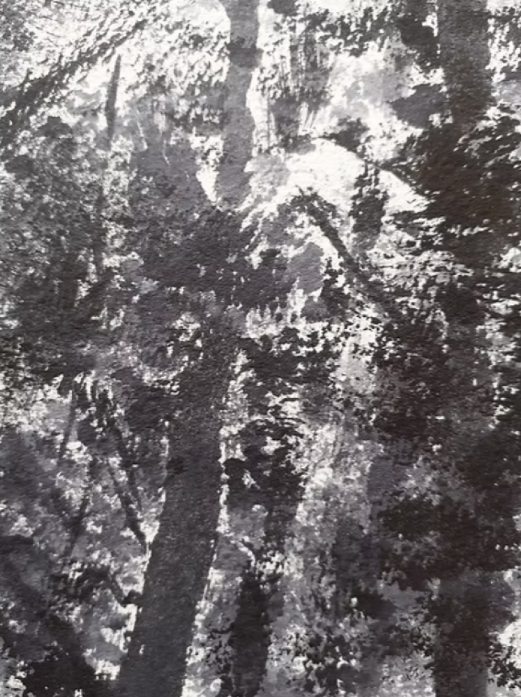 Gentle Forest