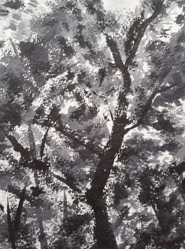 Gentle Forest