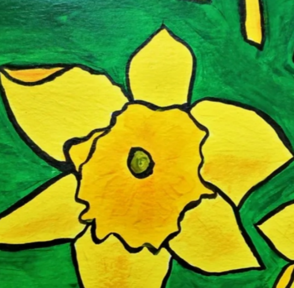 Daffodils
