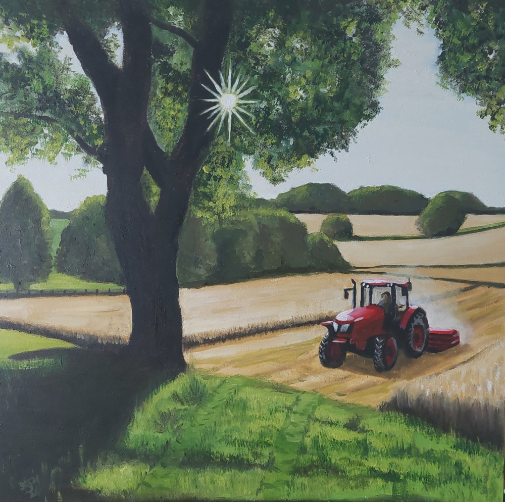 Dry Harvest