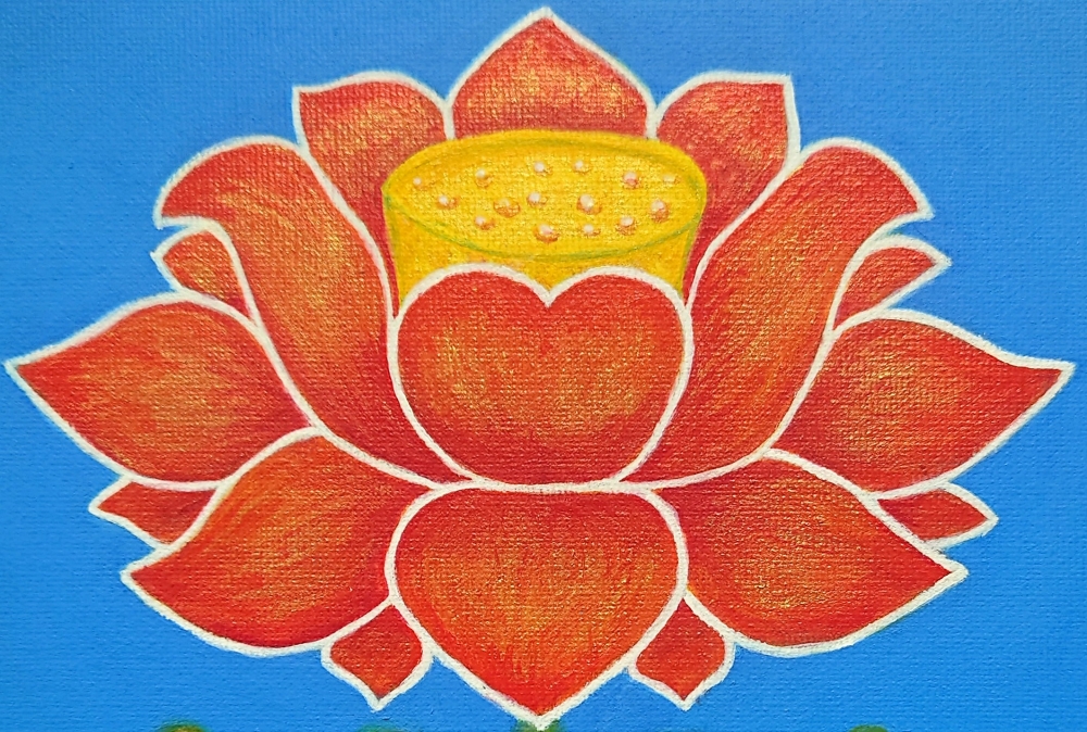A Lotus Flower 