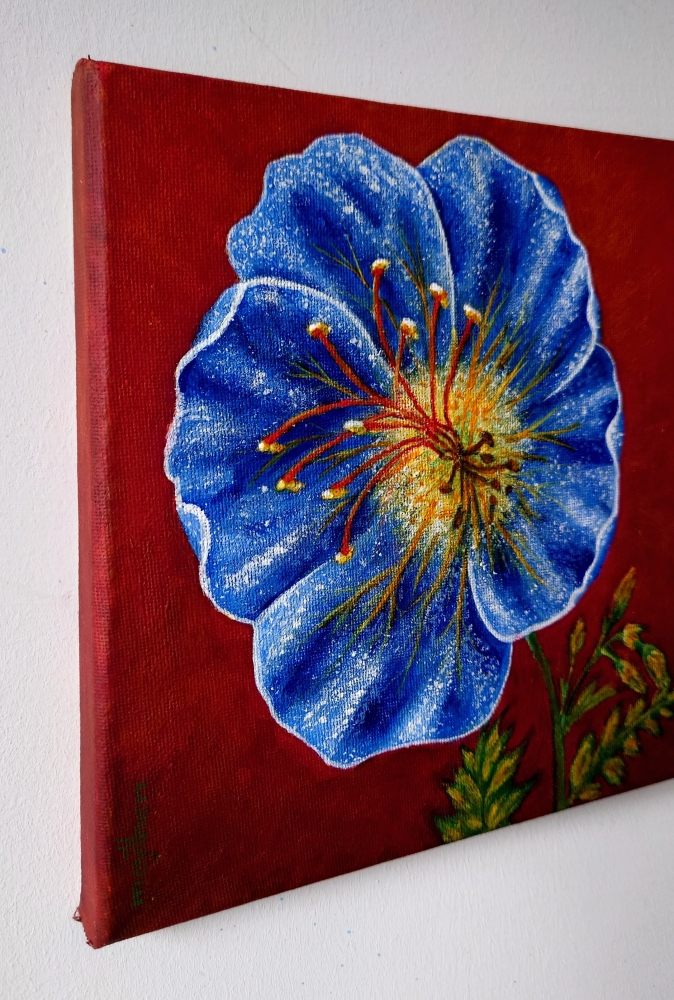Blue geranium 