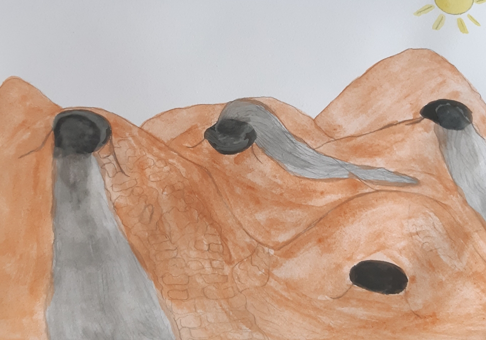 Volcanoes