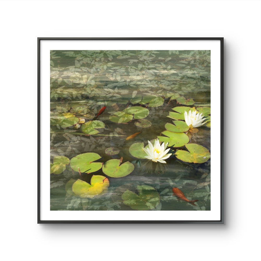Pond Life