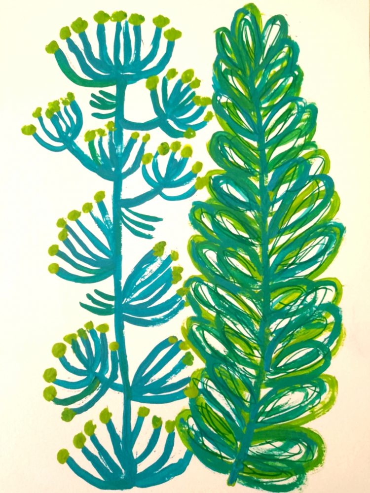 Mediterranean Plants