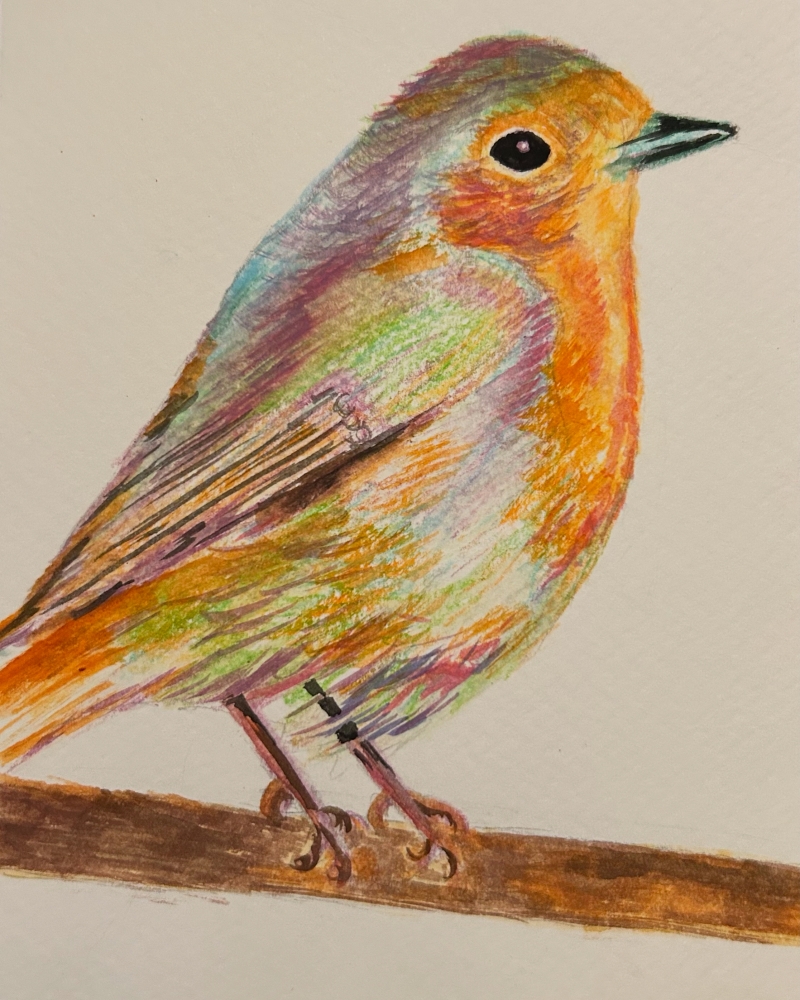 Robin on a Branch