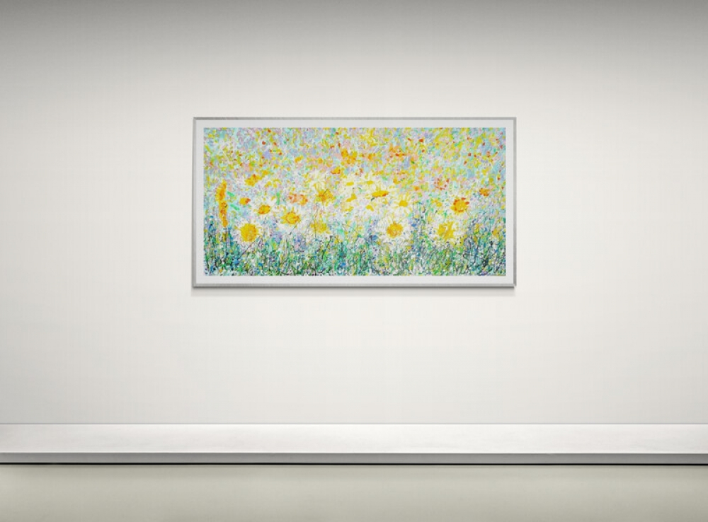 Wild Daisy Meadow