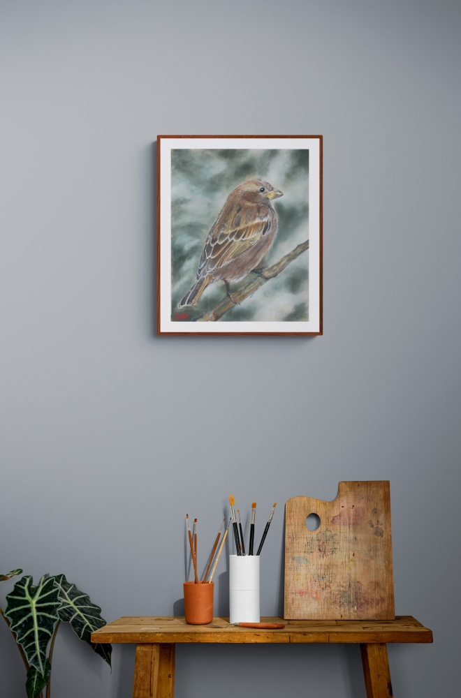 Common sparrow
