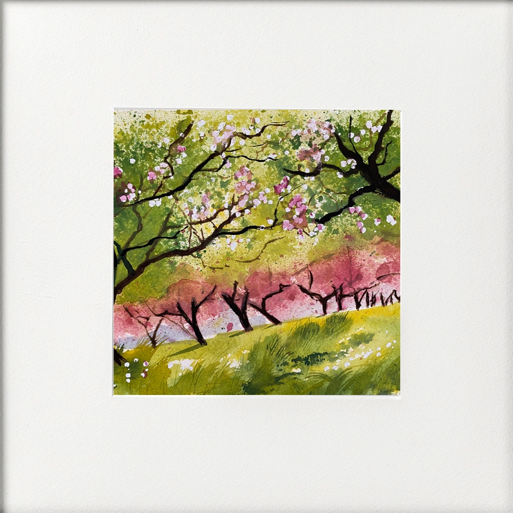 4 countryside scenes
