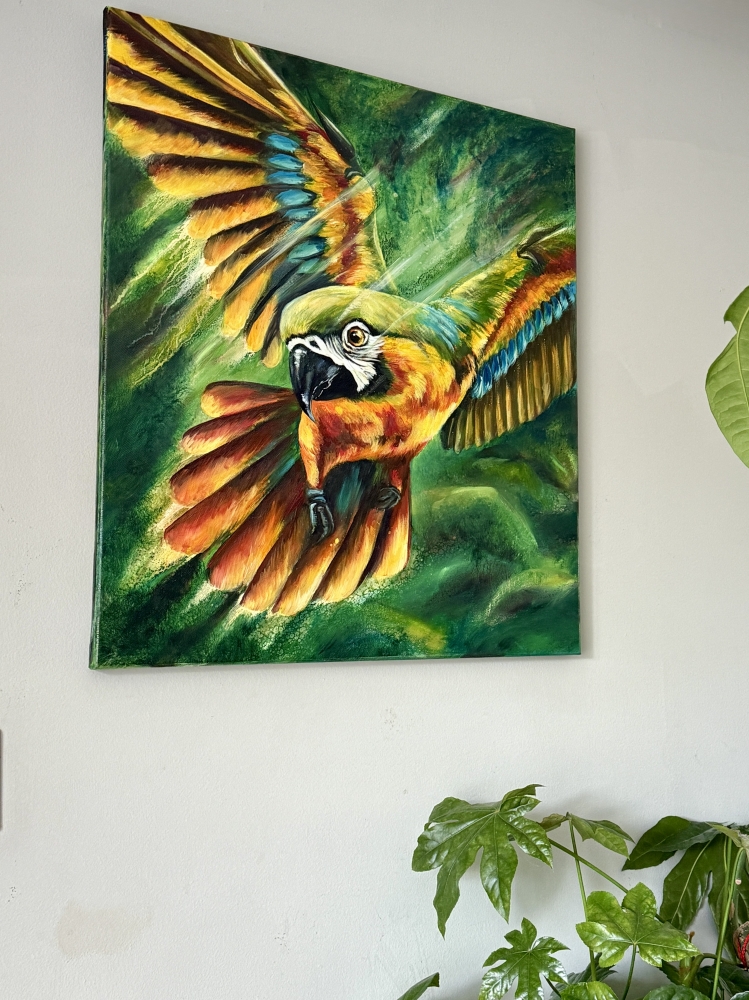 Born to Soar