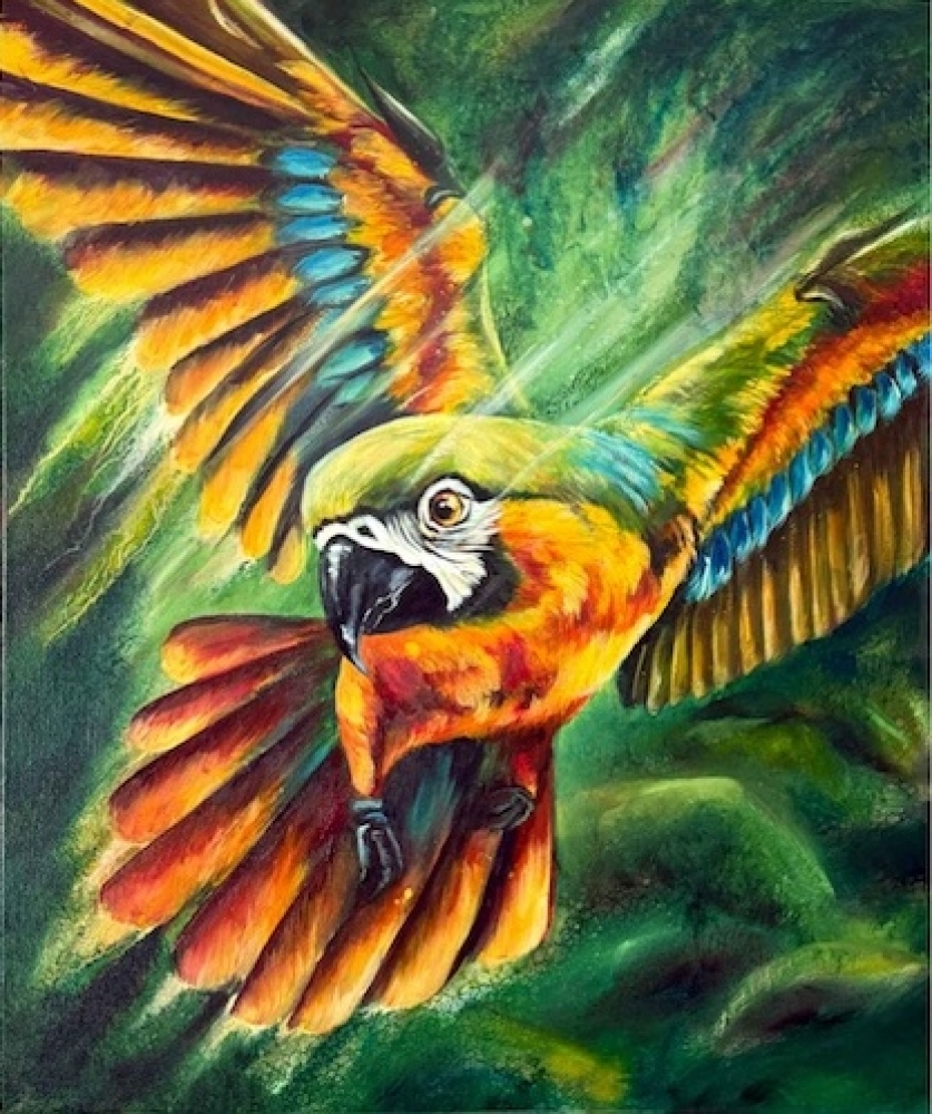 Born to Soar