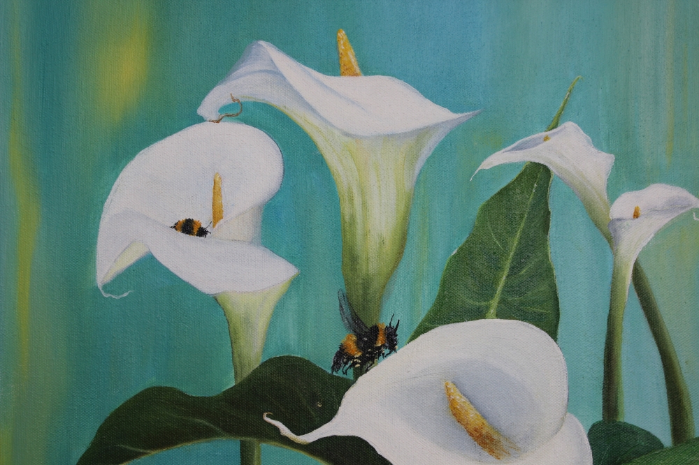 Calla Lily and bees