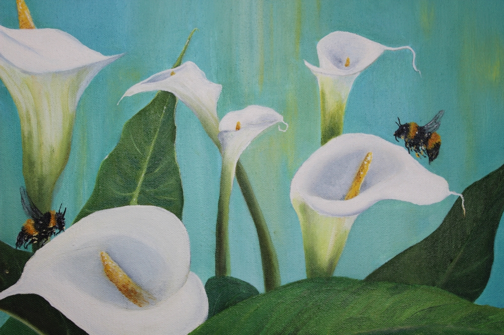 Calla Lily and bees