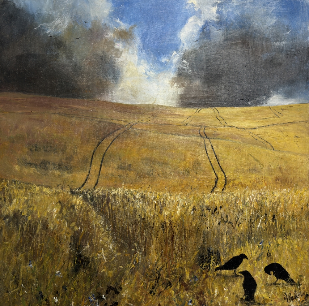 Stormy skies over cornfield with crows