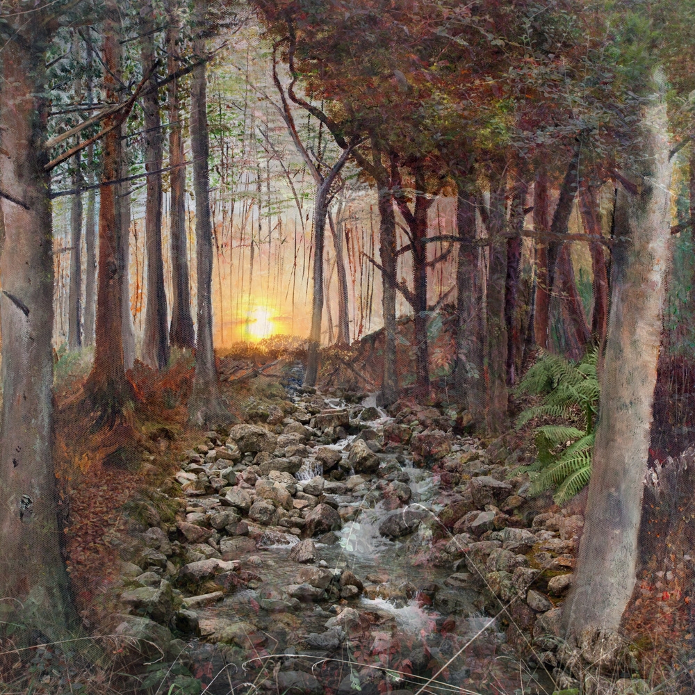 The Cornish Forest