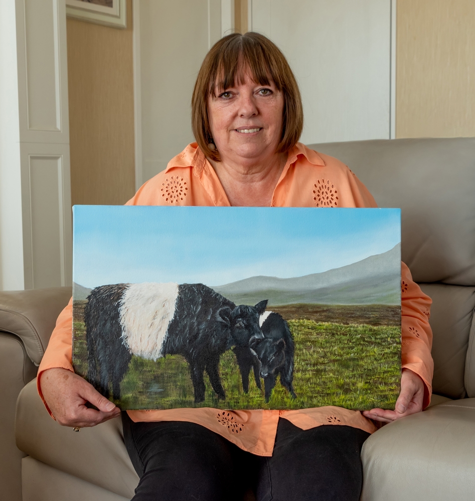 Belted galloways