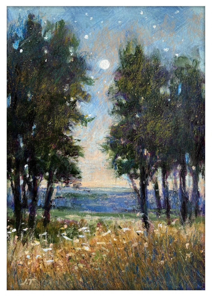 Moonlight Meander