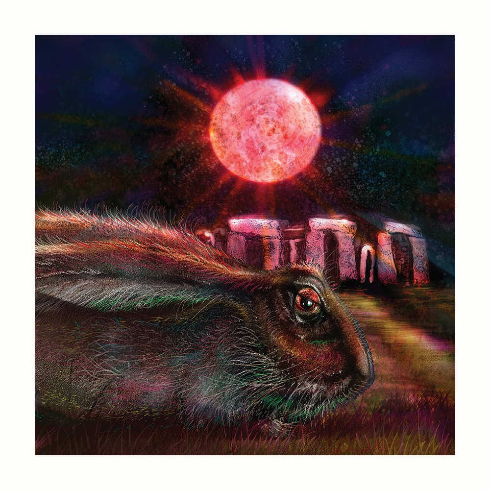 Strawberry Moon Hare Scrape