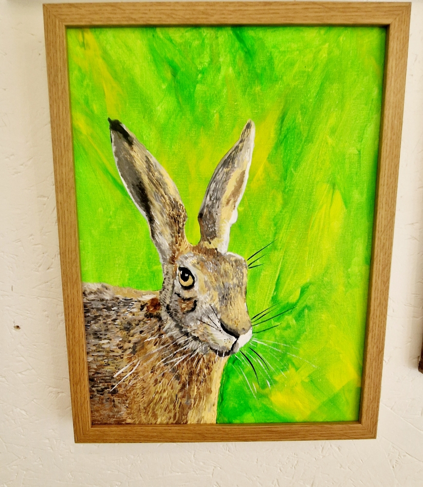 English Hare