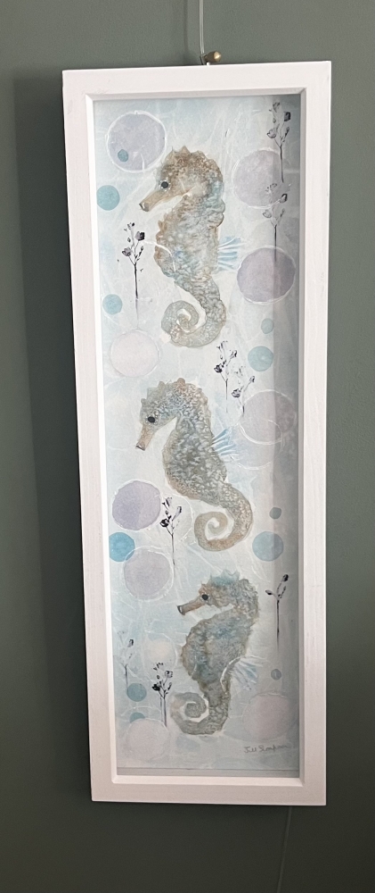 Seahorse Fun