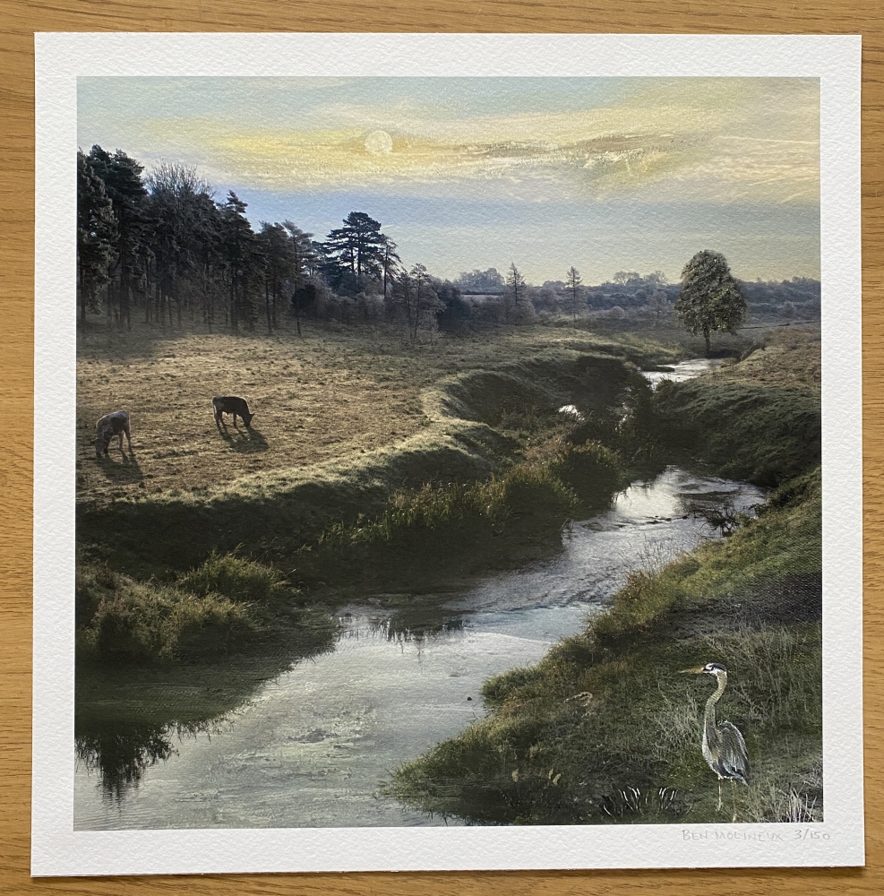 The Heron's Grace