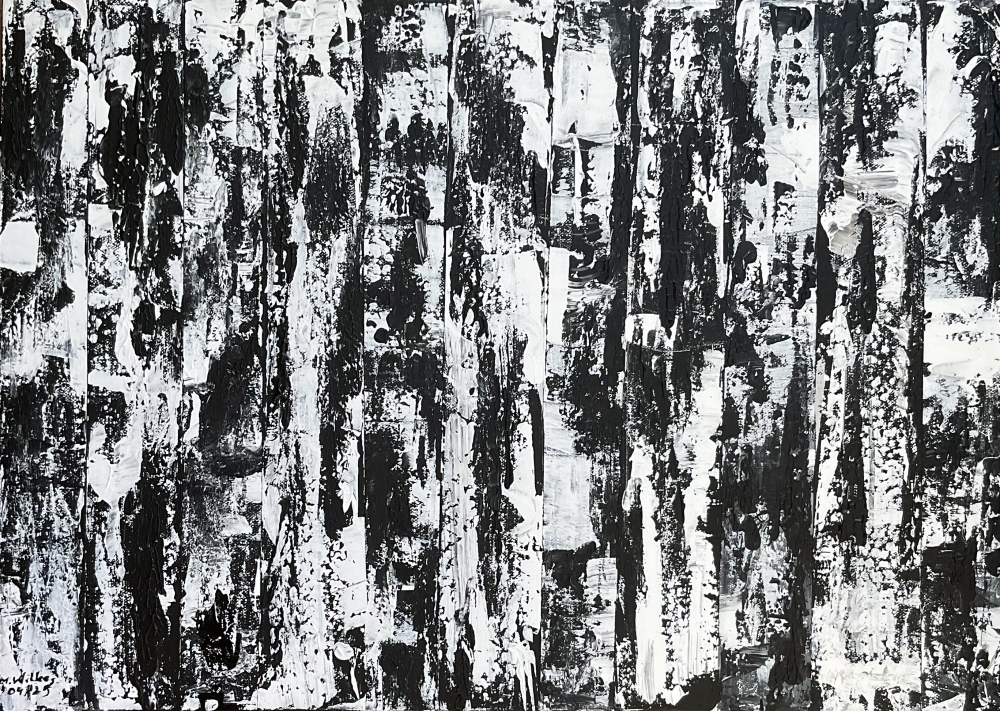 Birch tree