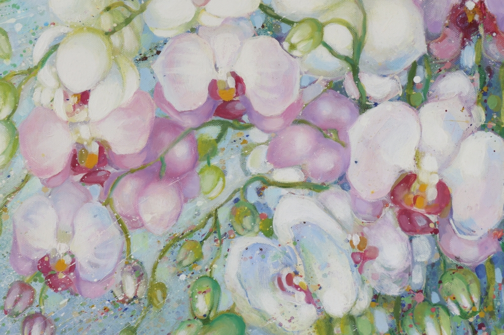 Blossoming Orchids