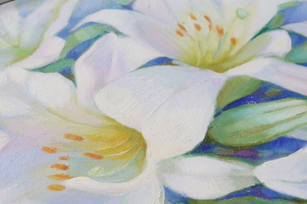 Morning flowers   